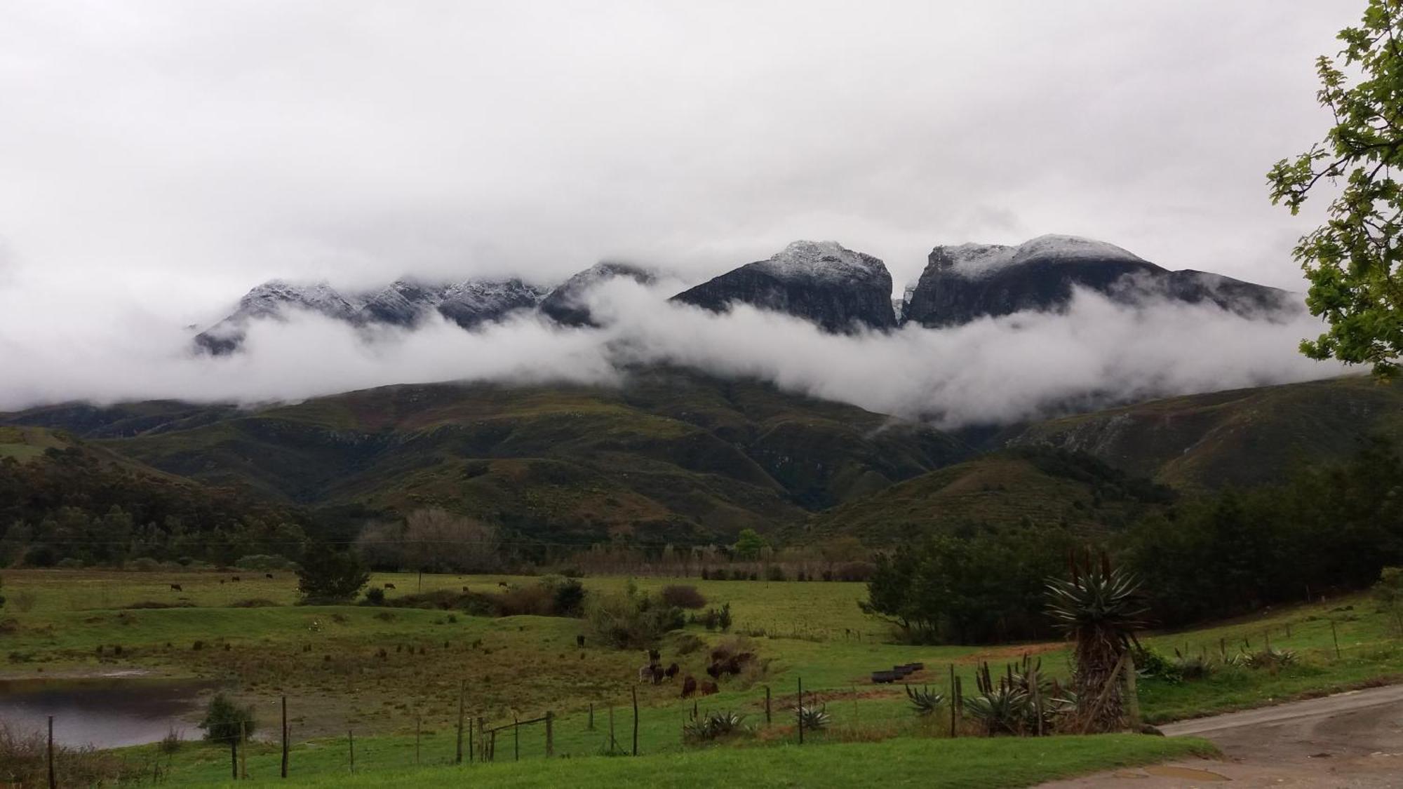 Hoenderhok And Plaashuisie Farm stay *
